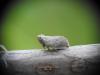 309660 – Photo : Mathis Garro – France (83)